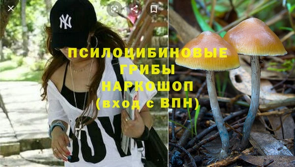 сатива Богданович