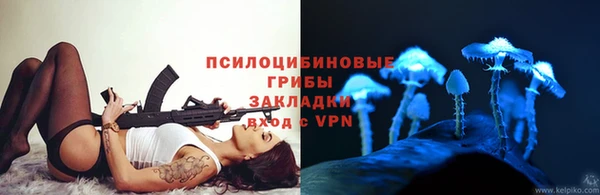 прущие крисы Богородицк