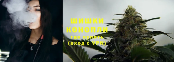 дмт Снежногорск