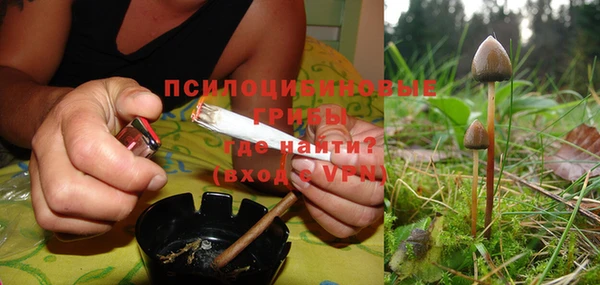 прущие крисы Богородицк