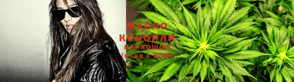 сатива Богданович