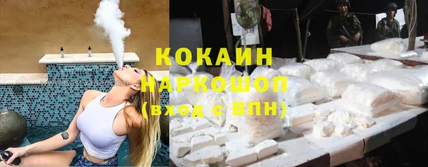 mdpv Снежинск
