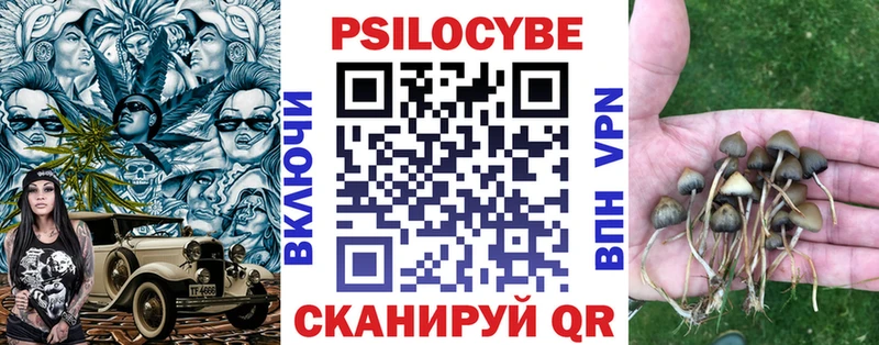 Галлюциногенные грибы Magic Shrooms  где продают   Воркута 